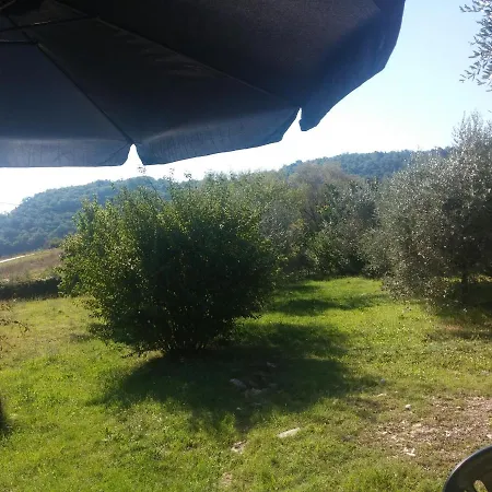Σπίτι διακοπών La Casetta Gialla *