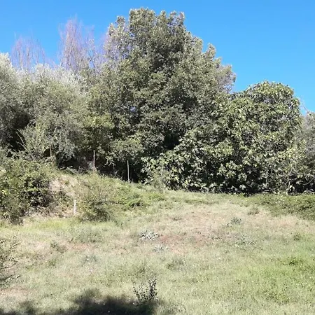 La Casetta Gialla * Pantanella